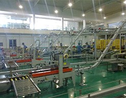 自動包裝生產(chǎn)線